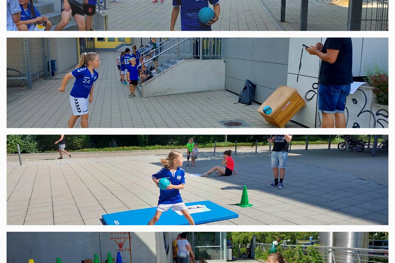 Collage Fuchs Cup.jpg